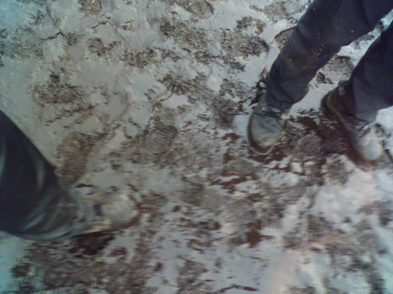 Wacken 2005 ~ 20.jpg